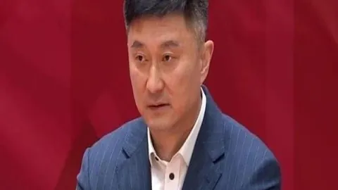 巴西甲早场赛事深度解析：独家数据分析指南